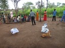 DSC02160