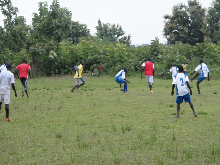DSC02347