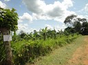 DSC03717