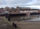 IMG_0237