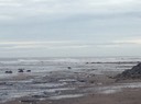 IMG_0265